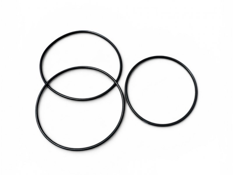 Yağ Circir Oring Kiti Euro6 Dpr - 2731877 - D30.3098